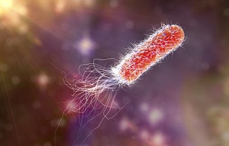 बैक्टीरिया को लेकर हुई नई खोज, जीवन के शुरुआत की धारणा बदल सकती है